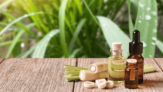 Lemongrass Oil: Versatile Uses and Benefits for Hair Care