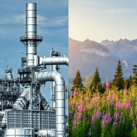 Petroleum Jelly or Plant Oils for Skincare