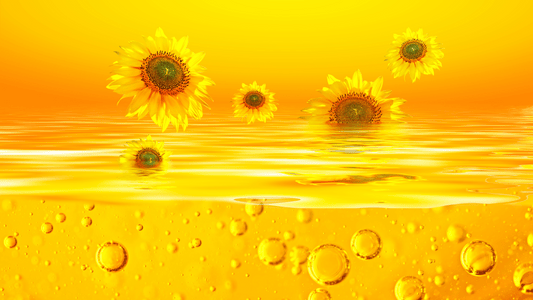 Sunflower Oil For Skin: Usage, Benefits, And Tips