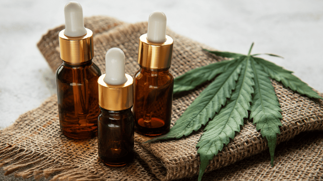 What is Hemp Oil: Benefits and How to Use for Your Face