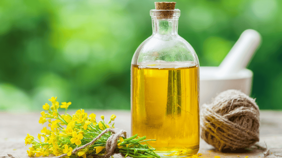 Rapeseed Oil for Skin