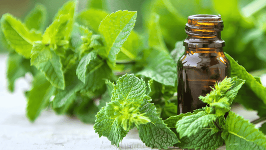 Spearmint Oil in Deodorant: Uses and Benefits