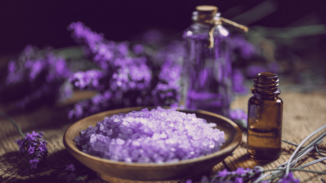 Lavender Essential Oil 