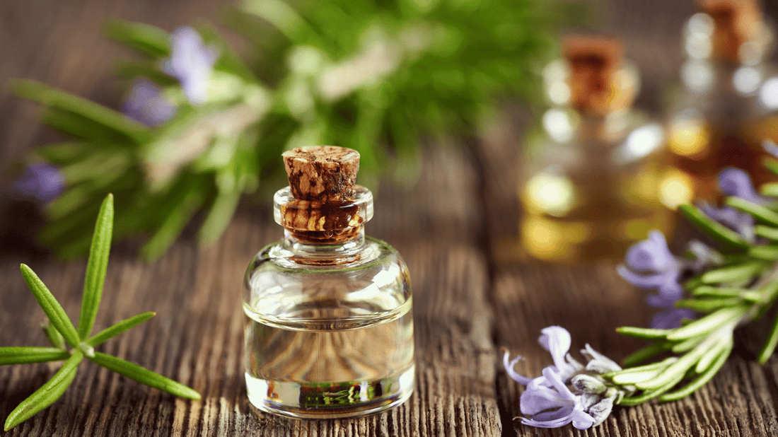 Benefits of Rosemary Leaf Extract for Skin