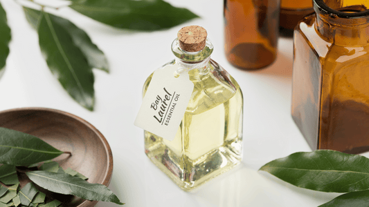 Exploring Laurel Oil: Benefits for Skin