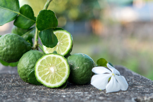 The Comprehensive Benefits of Bergamot Essential Oil for Your Body