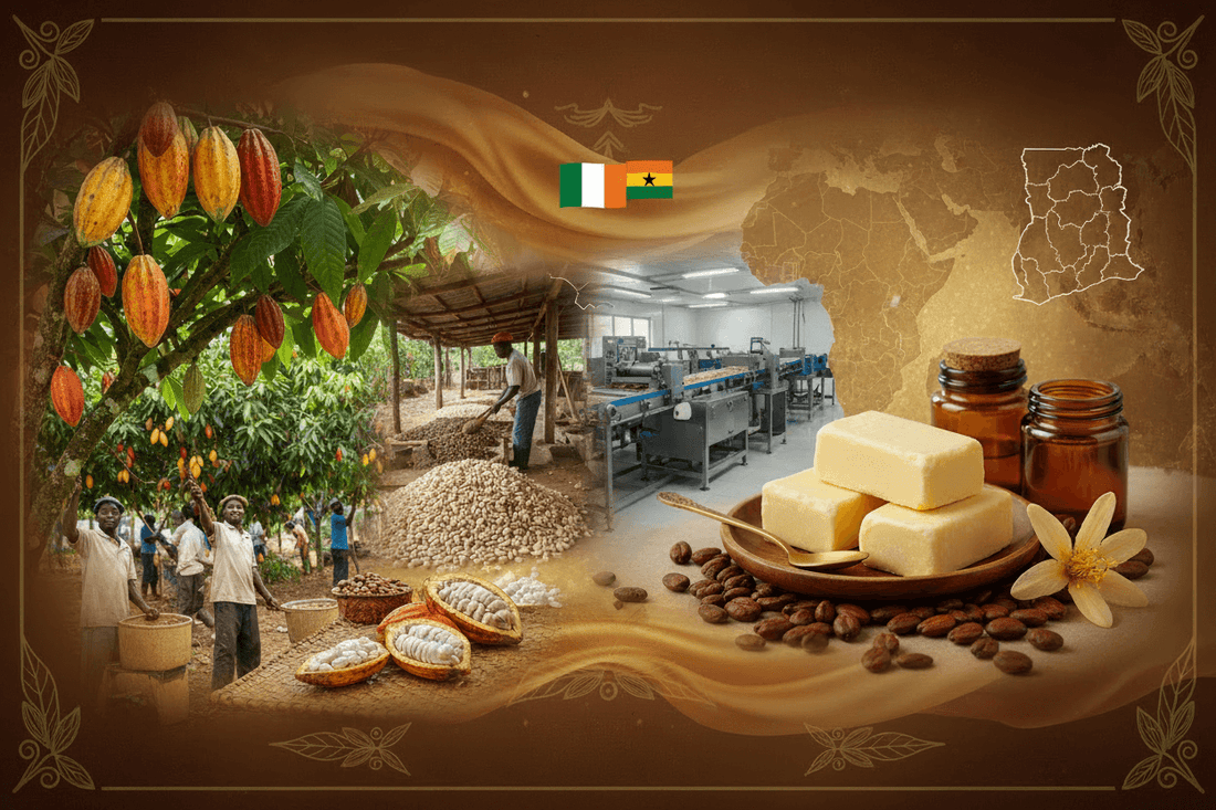 Cocoa butter production in West Africa