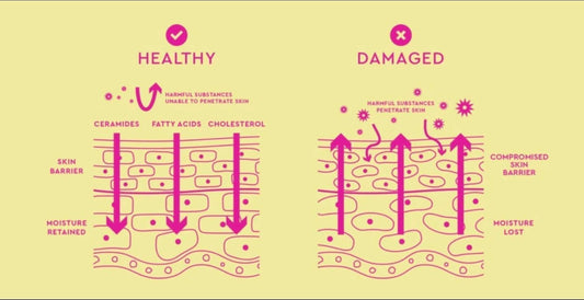 What is your skin barrier, and why does it matter?