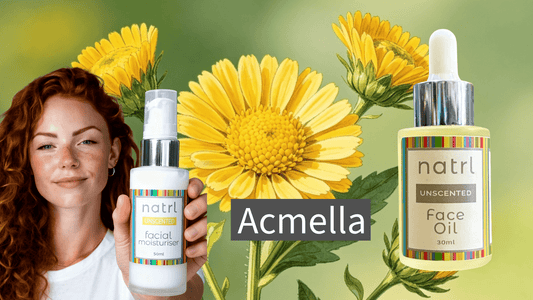 Acmella-Extract